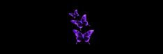 three purple butterflies are flying in the dark, and there is no image to describe