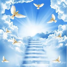 stairs leading to heaven with doves flying in the sky