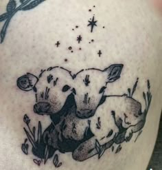 two sheeps in the grass with stars on their backs and behind them is a bird