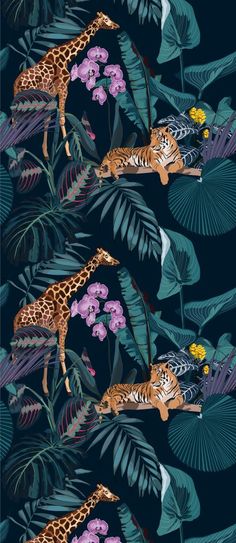 two giraffes in the jungle surrounded by tropical leaves and flowers on a dark blue background