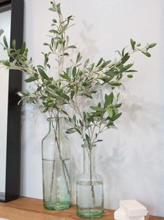 two vases with plants in them sitting on a shelf