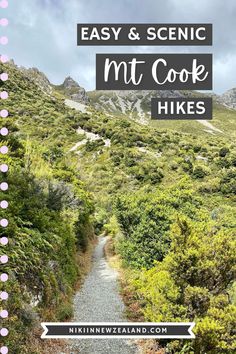 a trail with the words easy and scenic mt cook hikes in pink on it