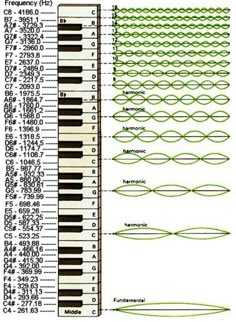 a diagram showing the different types of musical instruments and their functions in each instrument's body