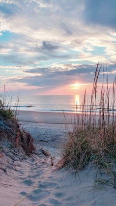 the sun is setting over the beach with sea oats in the foreground and sand dunes to the right