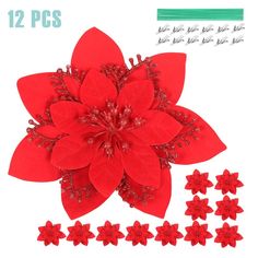 red poinsettia flowers and other decorations on a white background