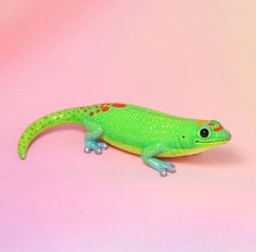 a green and orange gecko sitting on top of a pink surface