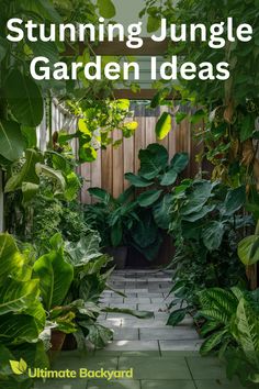 a garden with lots of green plants in it and the words, stunning jungle garden ideas