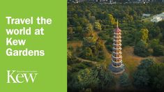 an aerial view of a pagoda tower in the middle of a forest with text that reads travel the world at kew gardens