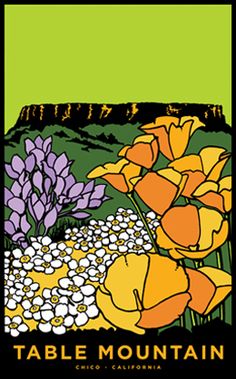 the table mountain sign is shown with flowers