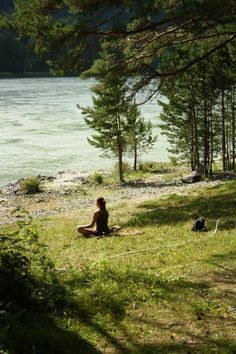 a person sitting on the grass near some trees and water with a dog looking at them