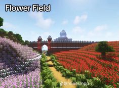 the flower field is full of colorful flowers