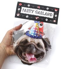 a pug dog wearing a party hat with its mouth open