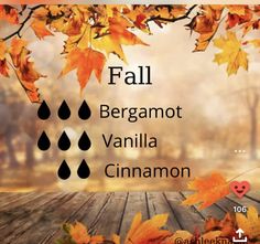 Fall Diffuser Blends