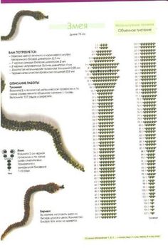 an image of snakes in different positions and sizes on a white sheet with purple border