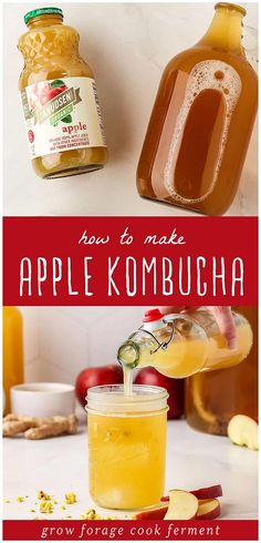 how to make an apple kombucha recipe with just 3 ingredients and no prepping required