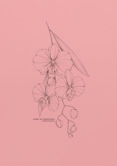 a drawing of some flowers on a pink background