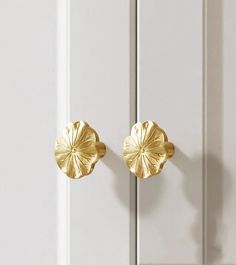 a pair of gold door knobs on a white cabinet