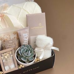 a gift box filled with personal care items and a succulent in the center