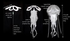 three different types of jellyfishs with their names and description in english, spanish, and french