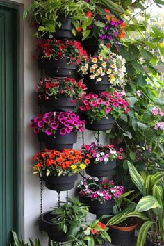 many potted plants are hanging on the wall