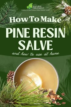 Discover the amazing pine resin salve recipe and how to use pine resin salve for various ailments at home. Tinctures Recipes, Pine Resin, Healing Salves