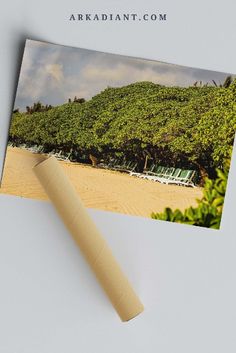 an open photo book with a roll of paper on it next to some chairs and trees