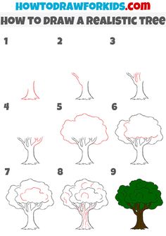 how to draw a realistic tree for kids with easy step - by - step instructions