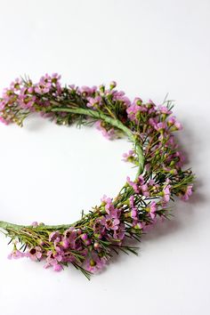 purple flowers are arranged in a circle on a white surface