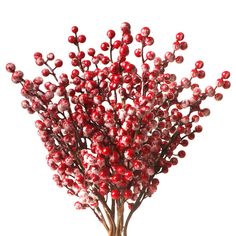 a bunch of red berries sitting on top of a tree