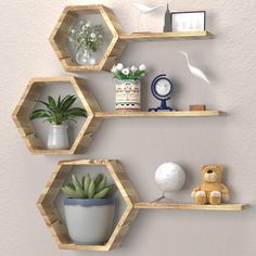 three wooden hexagonal shelves with plants and decorations on them, along with a teddy bear