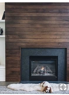 a dog laying on the floor in front of a fireplace with a wood paneled wall behind it