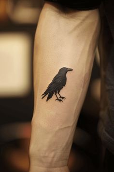 a black bird tattoo on the left inner forearm and leg, sitting on someone's right arm