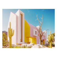 a building with cactus trees in front of it