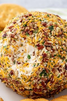 Pioneer Woman Bacon Ranch Cheese Ball Bacon Ranch Cheese Ball, Ranch Cheese Ball, Cheese Spreads, Cream Cheese Ball, Ball Recipes, Themed Treats