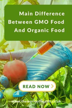 the words, main differences between gmo food and organic food