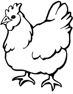 a black and white drawing of a chicken