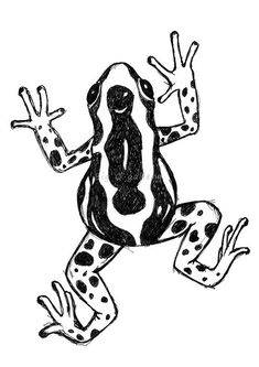 a black and white drawing of a frog with spots on it's back legs