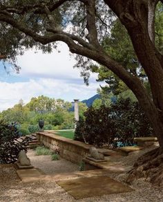 an outdoor area with stone steps and trees