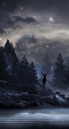 a deer standing on top of a mountain under a night sky