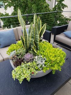 a black table topped with lots of green plants