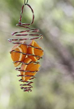 some oranges are hanging from a wire ornament