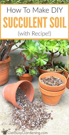 how to make diy succulent soil with recipe