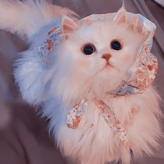 a white cat with blue eyes wearing a scarf