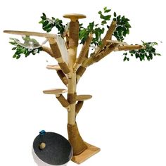 a cat tree that is made out of wood