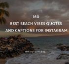 the beach with palm trees and text that reads, best beach vibes quotes and captions for instagram