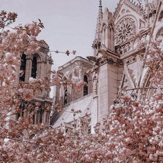 the cathedral is surrounded by pink flowers and trees in front of it's steeple