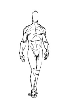 a line drawing of a man's body and torso, from the front view