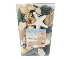 a plastic container filled with different types of seashells and starfishes for decoration