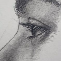 a pencil drawing of a horse's eye