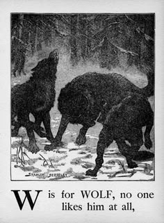 an old black and white photo of two wolfs in the snow